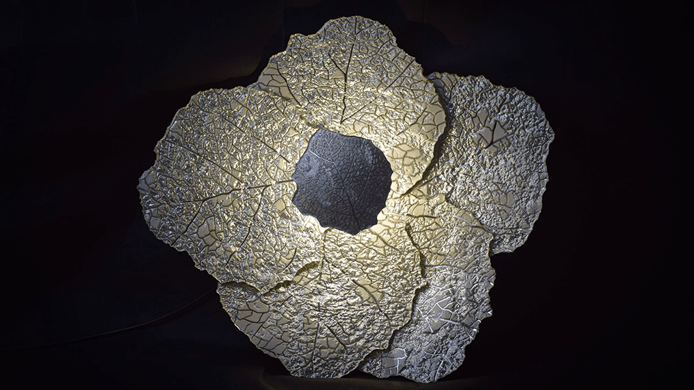 Cabbage - Image 2