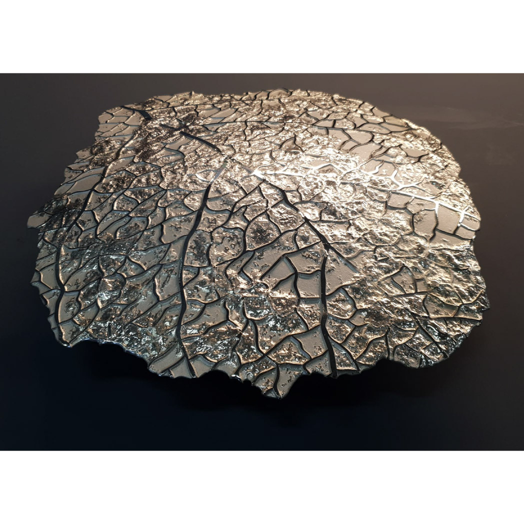 Cabbage - Image 4