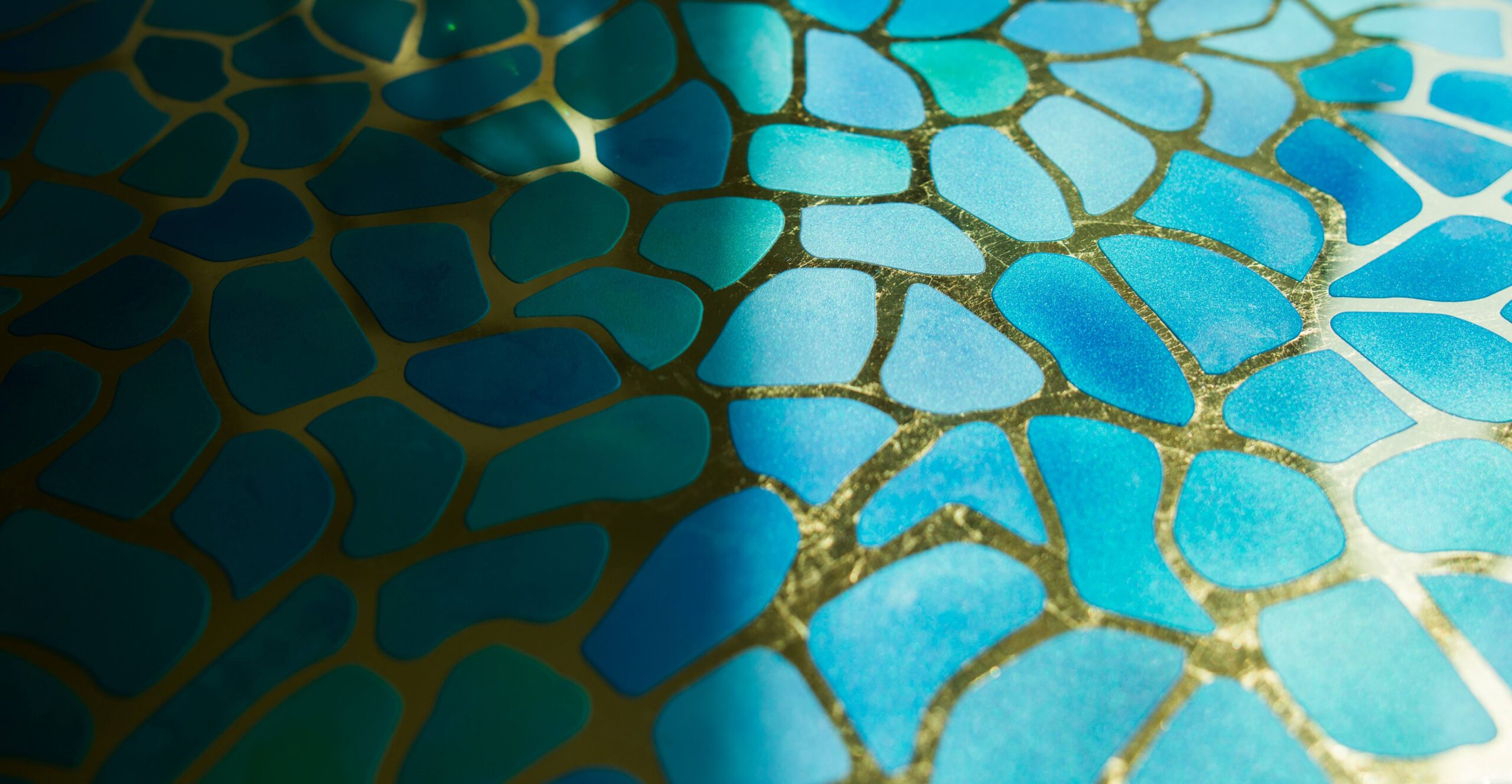 Dragonfly - Image 3