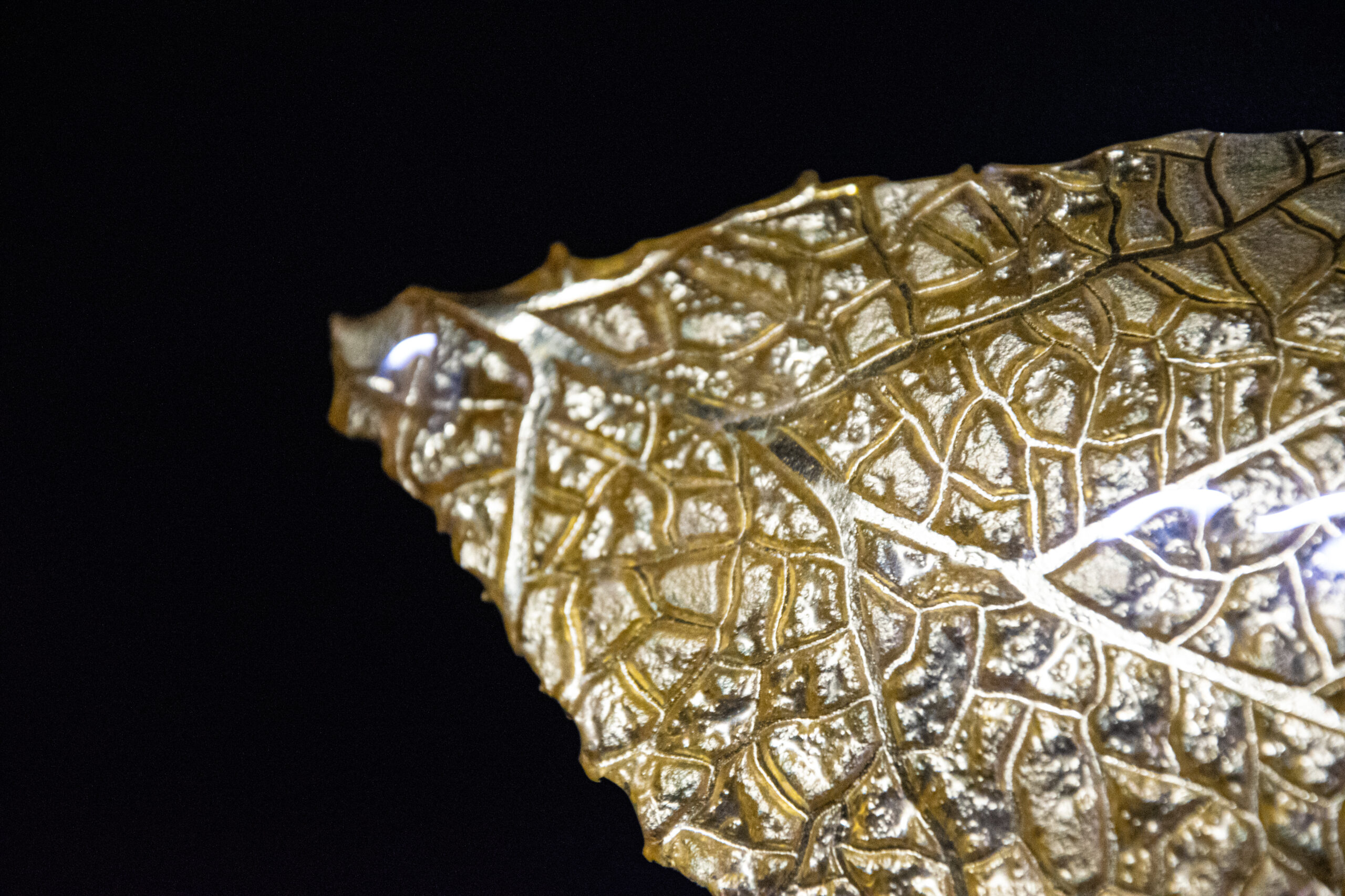 Magic Leaf - Image 3
