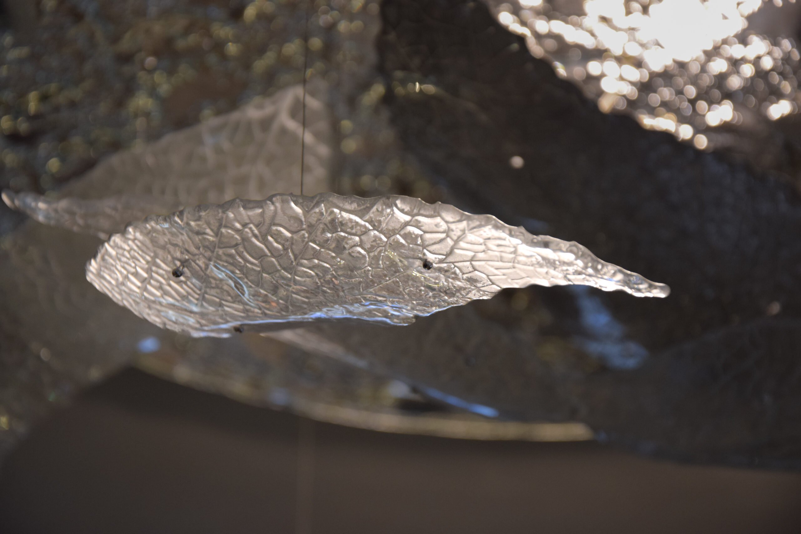 Magic Leaf - Image 4